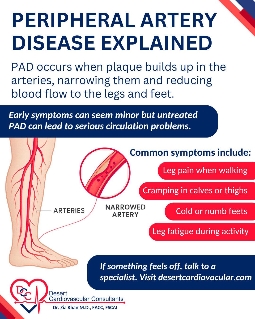 Desert Cardiovascular - Peripheral Artery Disease Explained